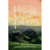 Bright Futures: A steamy, small town romantic comedy - Paperback
