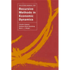 Solutions Manual for Recursive Methods in Economic Dynamics - Paperback