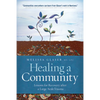 Healing a Community: Lessons for Recovery After a Large-Scale Trauma - Paperback
