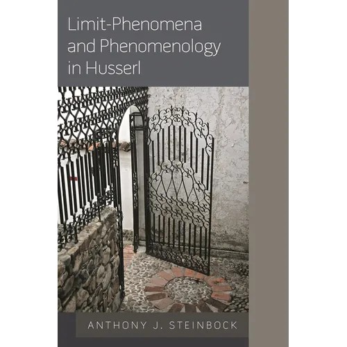 Limit-Phenomena and Phenomenology in Husserl - Paperback