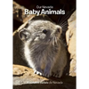 Our Nevada: Baby Animals - Board Book
