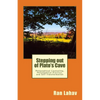 Stepping out of Plato's Cave: Philosophical Counseling, Philosophical Practice, and Self-Transformation - Paperback