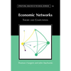 Economic Networks - Paperback