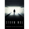 Storm Mdl - Paperback