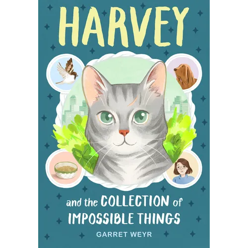 Harvey and the Collection of Impossible Things - Hardcover