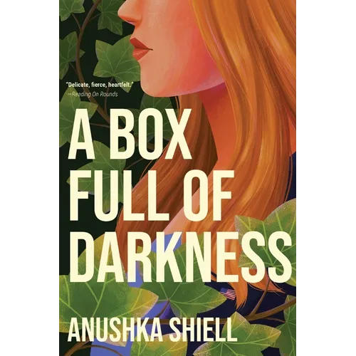 A Box Full of Darkness - Paperback