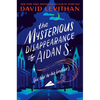 The Mysterious Disappearance of Aidan S. (as Told to His Brother) - Hardcover