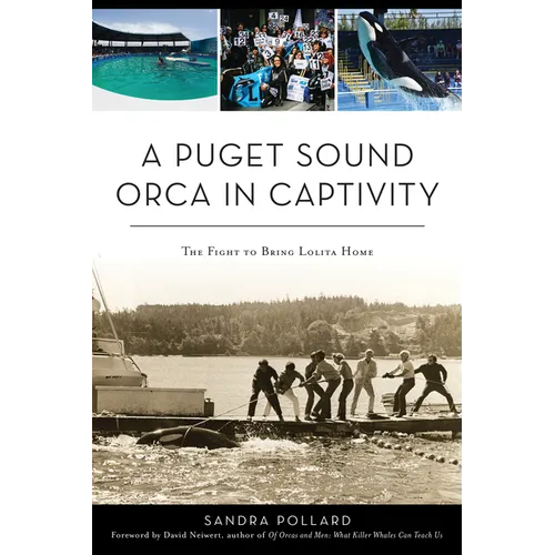 A Puget Sound Orca in Captivity: The Fight to Bring Lolita Home - Paperback