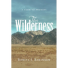 The Wilderness: A Path to Promise - Paperback