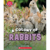 A Colony of Rabbits (Learn About: Animals) - Paperback