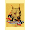 Bowser's Modern Method For Training And Handling Pit Dogs - Paperback