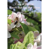 Care of Bees in Warre and Top Bar Hive - Paperback