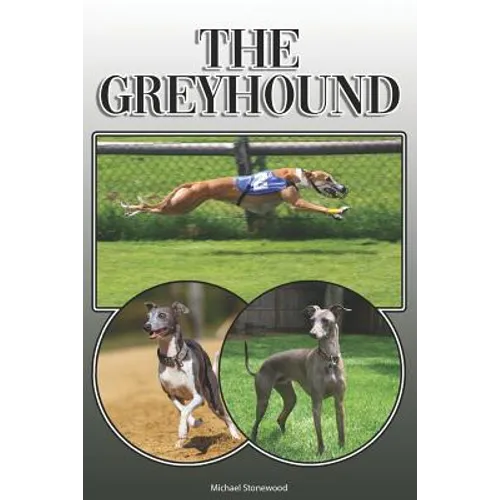The Greyhound: A Complete and Comprehensive Owners Guide To: Buying, Owning, Health, Grooming, Training, Obedience, Understanding and - Paperback