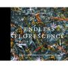 Endless Florescence: Transformative Contemporary Dried Floral Design - Hardcover