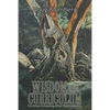 Wisdom and Curriculum: Christian Schooling After Postmodernity - Paperback