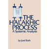 The Halakhic Process: A Systematic Analysis - Paperback