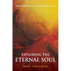 Exploring the Eternal Soul - Insights from the Life Between Lives - Paperback