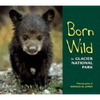 Born Wild in Glacier National Park - Paperback