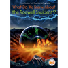 What Do We Know About the Roswell Incident? - Paperback