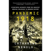 Pandemic 1918: Eyewitness Accounts from the Greatest Medical Holocaust in Modern History - Paperback