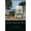 Seeing Through Race - Hardcover