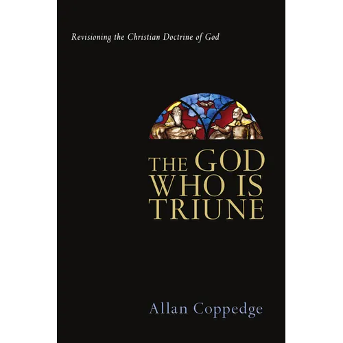 The God Who Is Triune: Revisioning the Christian Doctrine of God - Paperback