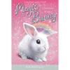 Chocolate Wishes - Paperback