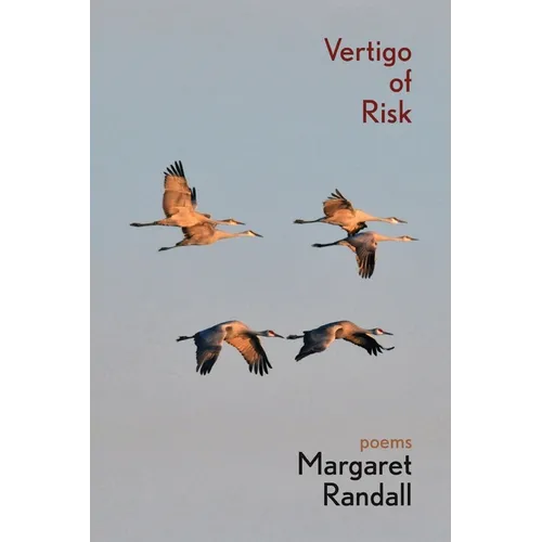 Vertigo of Risk - Paperback