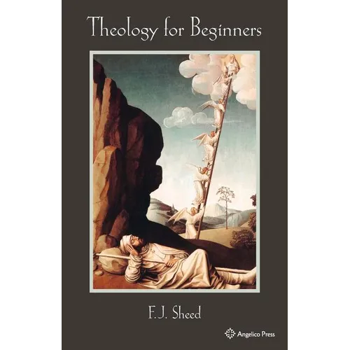 Theology for Beginners - Paperback