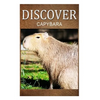 Capybara - Discover: Early reader's wildlife photography book - Paperback