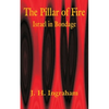 The Pillar of Fire: Israel in Bondage - Paperback