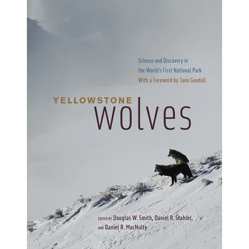 Yellowstone Wolves: Science and Discovery in the World's First National Park - Hardcover
