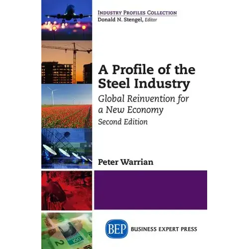 A Profile of the Steel Industry: Global Reinvention for a New Economy, Second Edition - Paperback