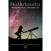 E(eek)Cclesiastes: Finding Meaning in a Meaningless Life - Paperback