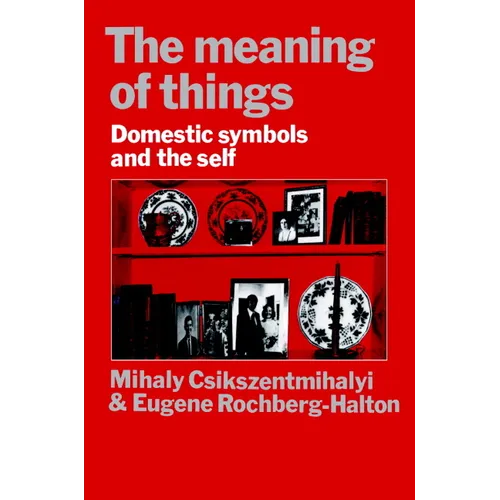 The Meaning of Things: Domestic Symbols and the Self - Paperback