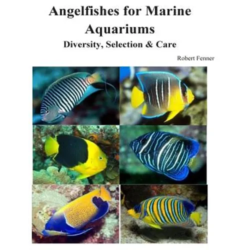 Angelfishes for Marine Aquariums: Diversity, Selection & Care - Paperback
