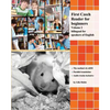First Czech Reader for beginners, Volume 2: bilingual for speakers of English - Paperback