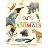 The Encyclopedia of Animals: More Than 1,000 Illustrations and Photographs - Hardcover