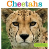 Seedlings: Cheetahs - Paperback