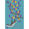 In Any of These Towns - Paperback