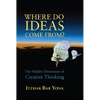 Where Do Ideas Come From?: The Hidden Dimension of Creative Thinking - Paperback