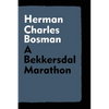 A Bekkersdal Marathon - Paperback