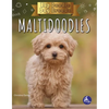 Maltidoodles - Paperback
