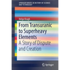 From Transuranic to Superheavy Elements: A Story of Dispute and Creation - Paperback