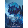 The Indivisible and the Void - Paperback