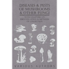Diseases and Pests of Mushrooms and Other Fungi - With Chapters on Disease, Insects, Sanitation and Pest Control - Paperback