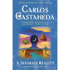 Separate Reality - Paperback