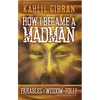 How I Became a Madman: Parables of Folly and Wisdom - Paperback