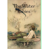 The Water Babies - Hardcover