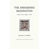 The Awakening Imagination: Image, Idol, Object, Icon - Hardcover